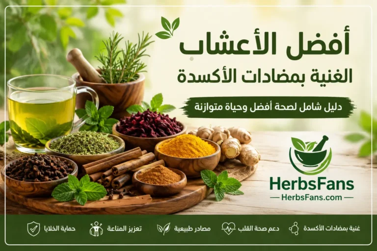 أفضل 10 أعشاب غنية بمضادات الأكسدة: فوائدها الصحية وما تقوله الدراسات