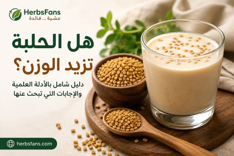 هل الحلبة تزيد الوزن؟ وهل الحلبة تسمن؟ إليك ما تقوله الأدلة العلمية