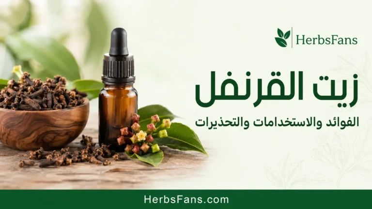 فوائد زيت القرنفل: هل يخفف ألم الأسنان ويفيد الشعر فعلًا؟