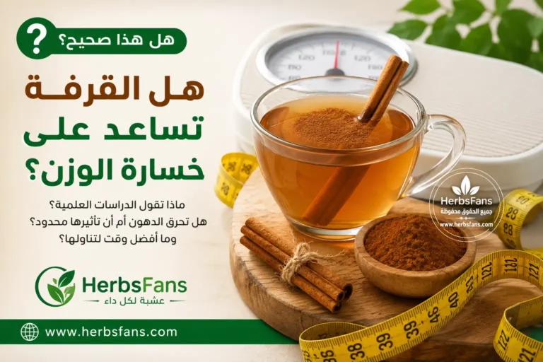 هل القرفة تساعد على خسارة الوزن؟ وهل تحرق الدهون؟ الحقيقة العلمية