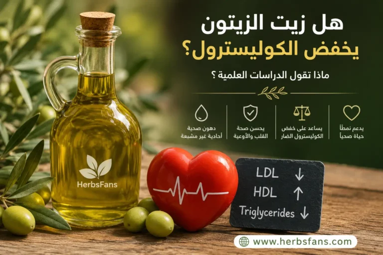 هل زيت الزيتون يخفض الكوليسترول؟ وما الذي تقوله الدراسات؟