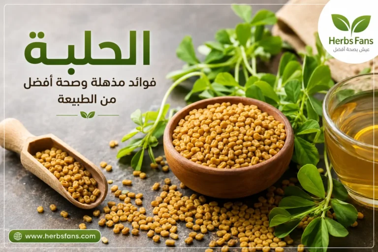 الحلبة، الفوائد الصحية ، الاستخدامات، الأضرار والقيمة الغذائية