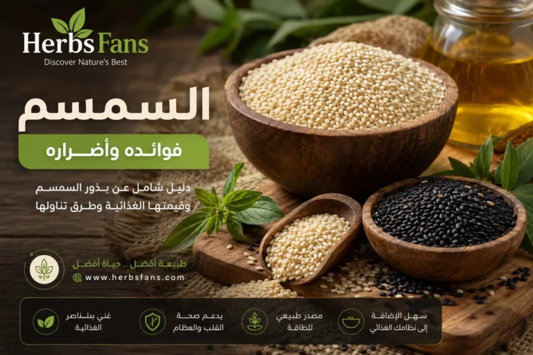 السمسم، فوائده المحتملة، قيمته الغذائية، وأفضل طريقة لتناوله