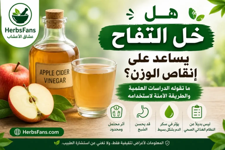 هل خل التفاح يساعد على إنقاص الوزن؟ وهل يحرق الدهون؟ الحقيقة العلمية