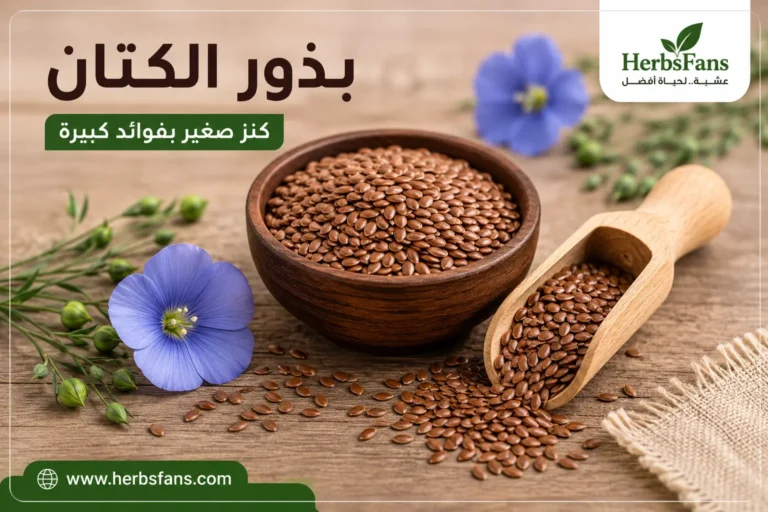 بذور الكتان، الفوائد والقيمة الغذائية وطرق الاستخدام وأهم الاحتياطات