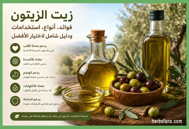 زيت الزيتون، الفوائد الصحية، الأنواع، الاستخدامات وكيف تختار أفضل زيت