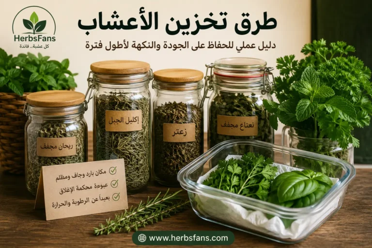 أفضل طريقة لتخزين الأعشاب، دليل الحفاظ على الجودة والنكهة لأطول فترة
