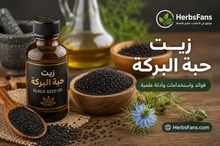 زيت حبة البركة، الفوائد المحتملة، الاستخدامات، وطريقة الاستخدام الآمن