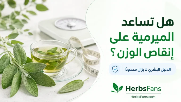 هل تشاعد الميرميه علي التخسيس والتنحيف