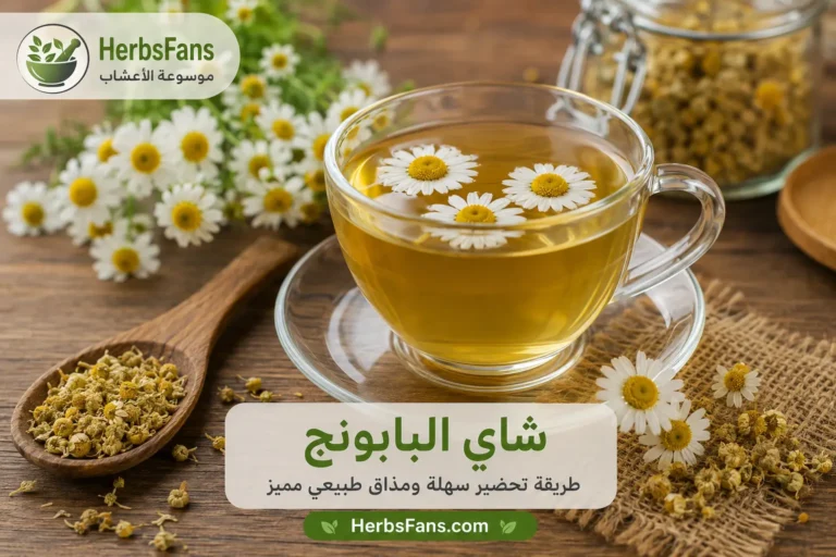 طريقة عمل شاي البابونج خطوة بخطوة، المقادير ومدة النقع الصحيحة