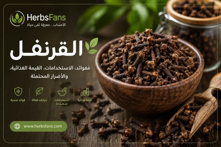 القرنفل: الفوائد الصحية، الاستخدامات، القيمة الغذائية والأضرار المحتملة