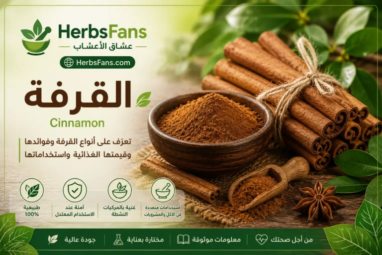 القرفة، قبل أن تستخدمها تعرف على فوائدها وأضرارها الحقيقية