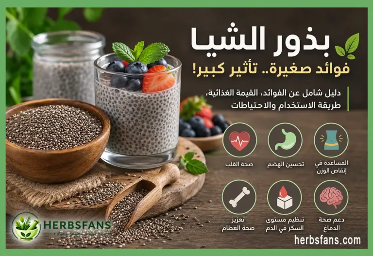 بذور الشيا, الفوائد والقيمة الغذائية وطريقة الاستخدام والأضرار
