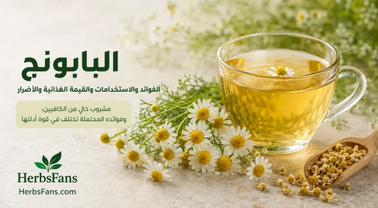 البابونج: ما تقوله الدراسات عن الفوائد ، الاستخدامات والأضرار