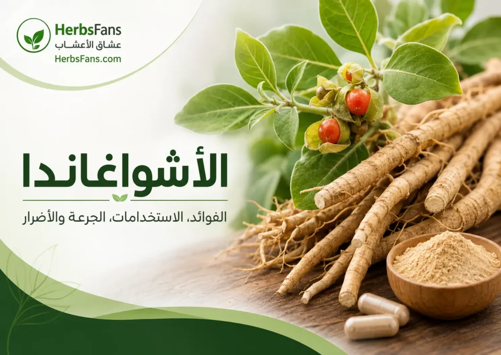ashwagandha-benefits-uses-safety