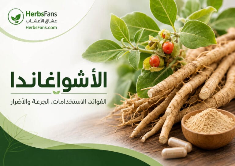 ashwagandha-benefits-uses-safety