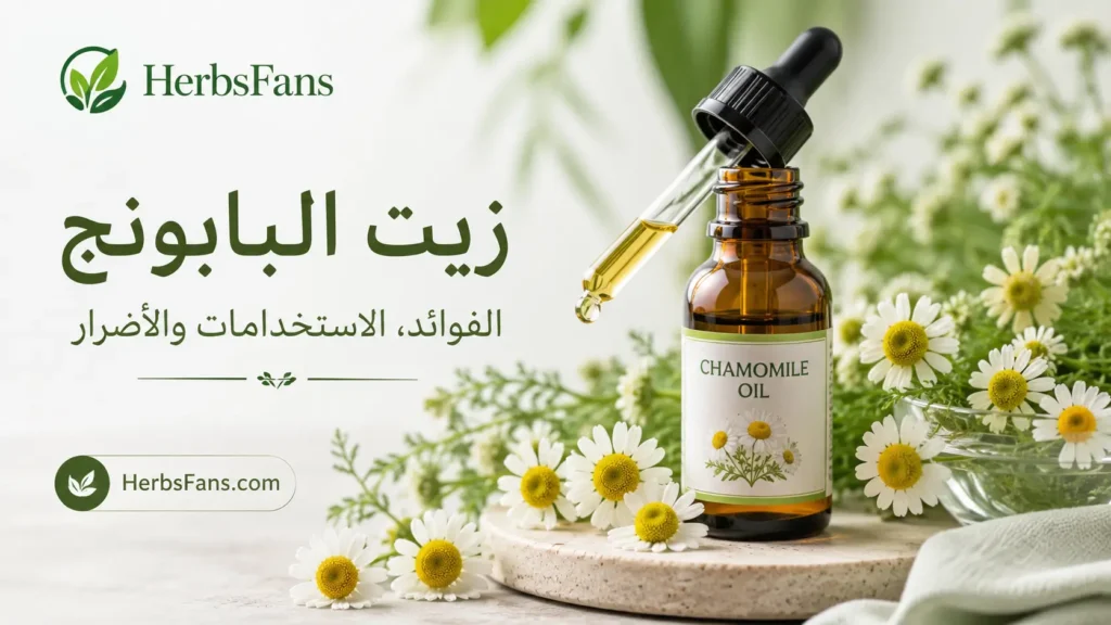 صورة توضيحية لمقال عن زيت البابونج، تعرض زجاجة من الزيت العطري مع أزهار البابونج، وتتناول فوائده المحتملة، استخداماته الموضعية والعطرية، وأهم الأضرار ومحاذير الاستخدام.