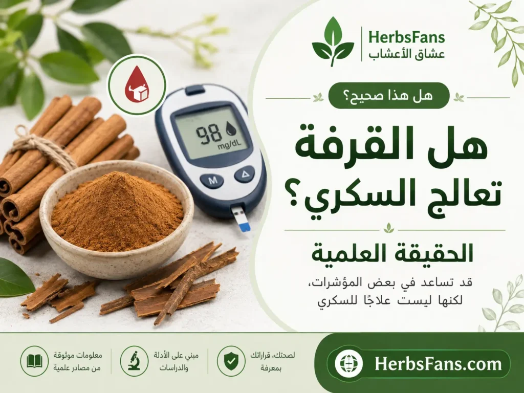 صورة توضيحية لمقال HerbsFans حول حقيقة تأثير القرفة في سكر الدم، وما تقوله الدراسات عن استخدامها لدى مرضى السكري.