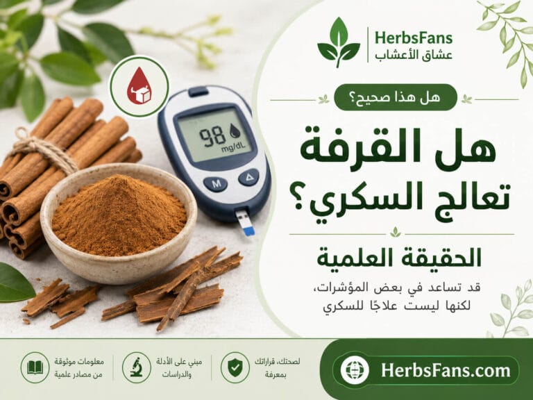 صورة توضيحية لمقال HerbsFans حول حقيقة تأثير القرفة في سكر الدم، وما تقوله الدراسات عن استخدامها لدى مرضى السكري.