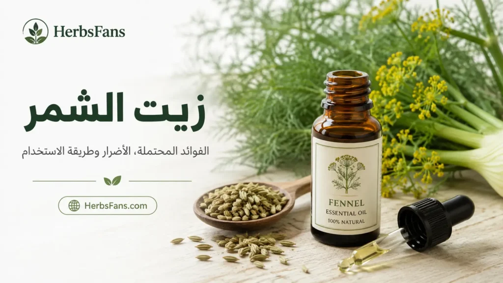 زيت الشمر: الفوائد المحتملة والأضرار وطريقة الاستخدام