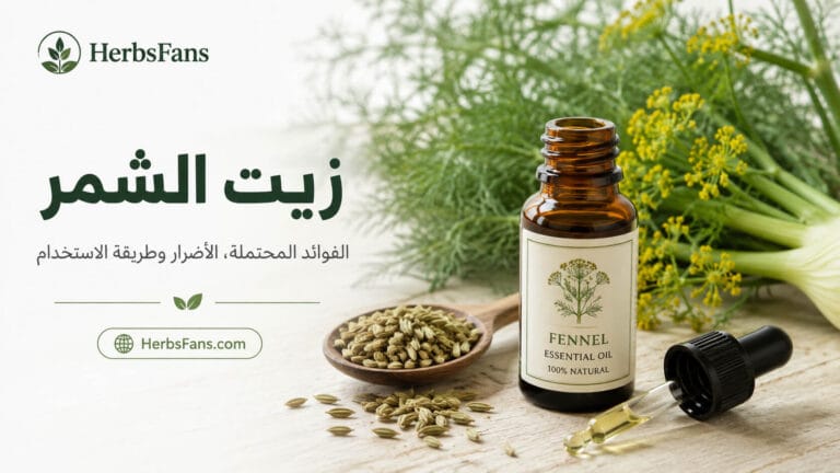 زيت الشمر: الفوائد المحتملة والأضرار وطريقة الاستخدام