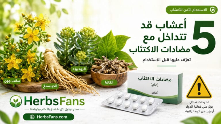 صورة توضيحية لمقال HerbsFans حول الأعشاب التي قد تتداخل مع مضادات الاكتئاب