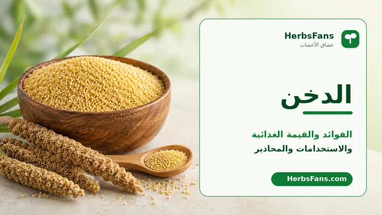 حبوب الدخن: الفوائد والقيمة الغذائية والأضرار، وهل تناسب مرضى السكري؟