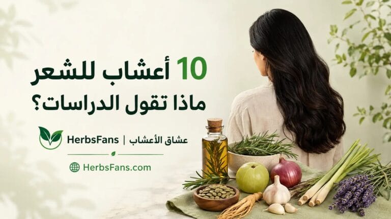أفضل 10 أعشاب لعلاج تساقط الشعر وإنباته: ما الذي تثبته الدراسات؟
