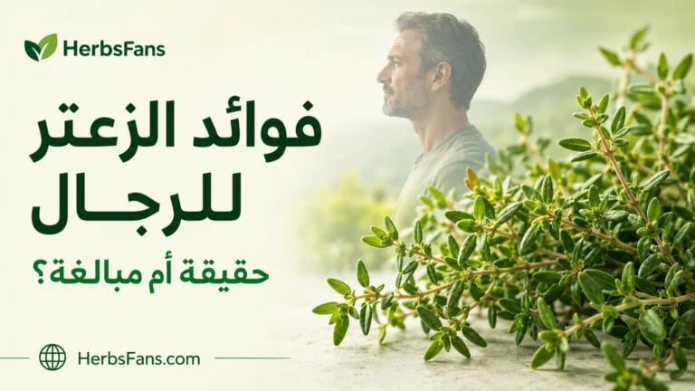 فوائد الزعتر للرجال، هل يحسن الانتصاب والخصوبة ويرفع التستوستيرون؟