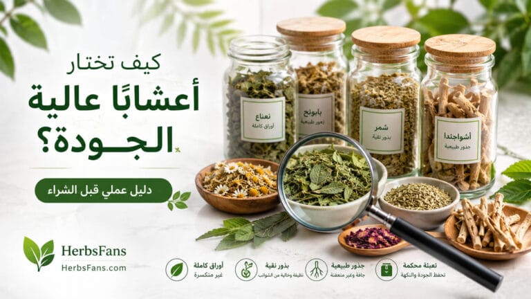 كيف تختار أعشابًا عالية الجودة؟ دليل عملي قبل الشراء