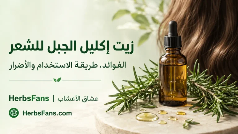 rosemary-oil-hair