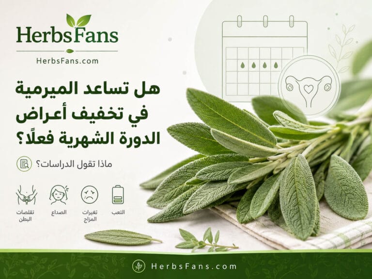 أوراق الميرمية مع رموز توضيحية لأعراض الدورة الشهرية مثل التقلصات والصداع وتغيرات المزاج