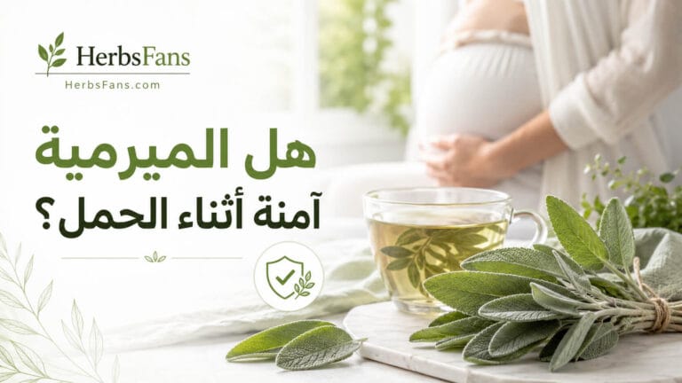 صورة توضيحية لمقال يشرح مدى أمان استخدام الميرمية أثناء الحمل