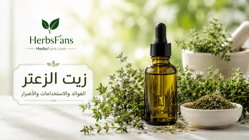 زيت الزعتر: الفوائد والاستخدامات والأضرار